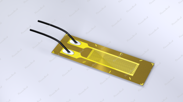 Strain Gauge